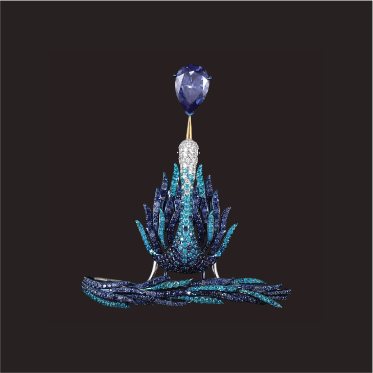 charu-01-01