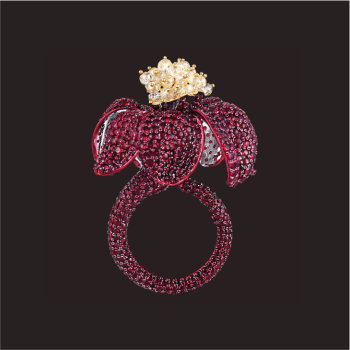 Sparkle Diamonds (A Unit Of Shree Radhe Jewelelrs Pvt Ltd)-01-01